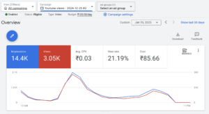 Maximizing Your Business Potential with Professional Google Ads Campaigns