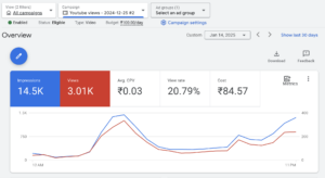 Professional Google Ads Campaigns